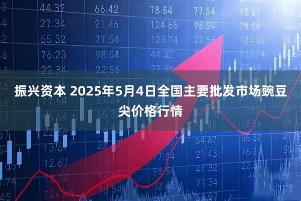 振兴资本 2025年5月4日全国主要批发市场豌豆尖价格行情