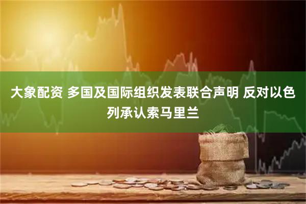 大象配资 多国及国际组织发表联合声明 反对以色列承认索马里兰