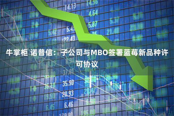 牛掌柜 诺普信：子公司与MBO签署蓝莓新品种许可协议